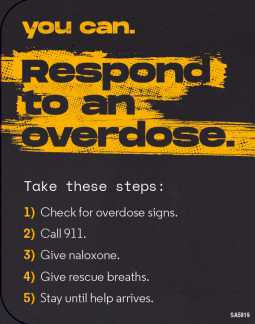 You Can Respond to an Overdose with Naloxone Pocket Brochure - Multiple Languages